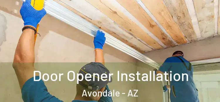  Door Opener Installation Avondale - AZ